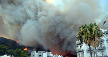 Wildfire in the forest near a resort town.Marmaris, Turkey. Summer 2021