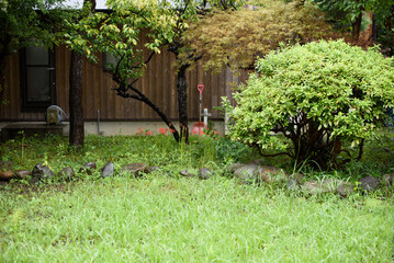 これから手入しないといけない家の庭