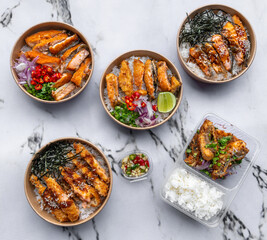 Salmon Teriaki and Salmon Mixed Dishes 