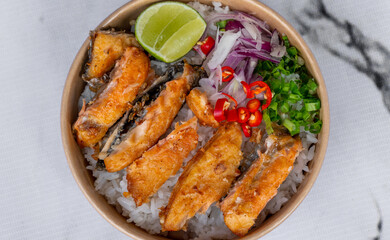 Salmon Teriaki and Salmon Mixed Dishes 