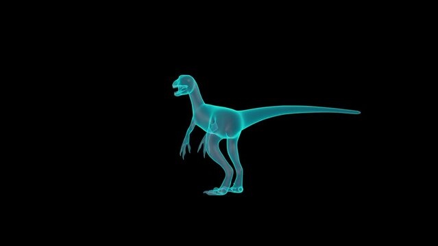 A Beautiful 3D Velociraptor Holograph turntable render