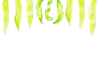 手描き水彩のモロッコインゲンイラスト長方形フレーム・上