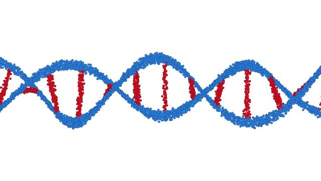 Red and Blue DNA Animation Seamless Loops on White Background and Green Screen