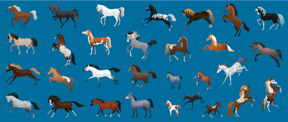 Collection set of flat horses. Checkered drawing. Different breeds of horses. Vector illustration.