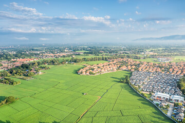 Land or landscape of green field in aerial view. Include agriculture farm, house building, village....