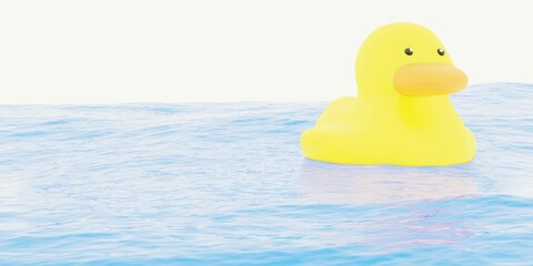 Duck on the sea