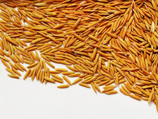 Closeup of Basmati rice seeds on white background.