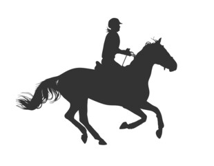 Silhouette rider on horse