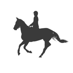 Silhouette rider on horse