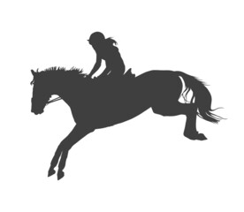 Fototapeta na wymiar Silhouette rider on horse