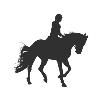 Silhouette rider on horse