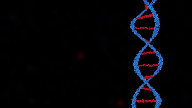 Red and Blue DNA Animation With Particle Background Seamless Loops