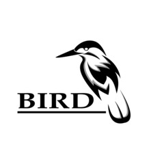 bird logo, creative modern logo inspiration