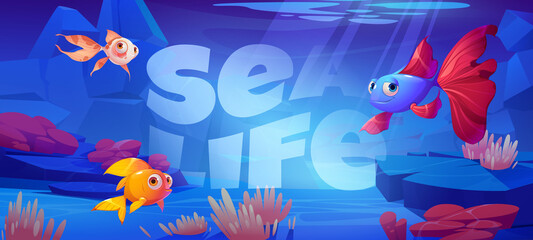Sea life cartoon banner with cute tropical fishes at coral reef underwater background for game or book cover. Marine ocean animals, undersea wildlife with seaweeds grow at rocks, Vector illustration