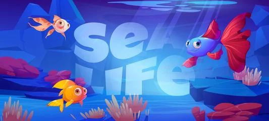 Papier Peint photo Vie marine Sea life cartoon banner with cute tropical fishes at coral reef underwater background for game or book cover. Marine ocean animals, undersea wildlife with seaweeds grow at rocks, Vector illustration