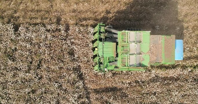 Kibbutz, Israel - 25 November 2021: Aerial view of a combine picking cotton in the field, Kibbutz Saar, Mate Asher,  Israel