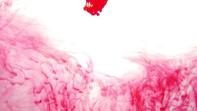 Red paint in the water. ink in fluid. abstract motions. colorful splashes in liquid
