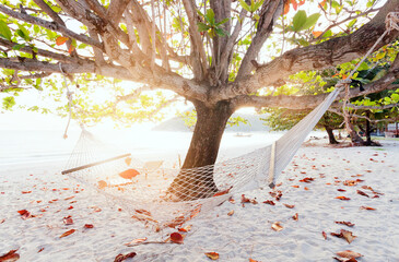 A rope hammock on a tree on the beach of a tropical island