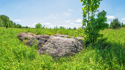A large ancient sacred boulder stone, a megalith, Sledovik, in a field among grass in the Orel...