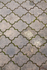Pavement, paving slabs close-up