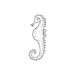 Seahorse. Vector wild ocean animal underwater life doodle black white line isolated illustration.