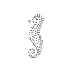 Seahorse. Vector wild ocean animal underwater life doodle black white line isolated illustration.