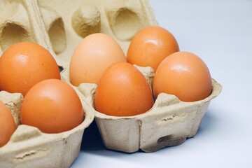 Cardboard egg boxes with eight brown eggs on white background.