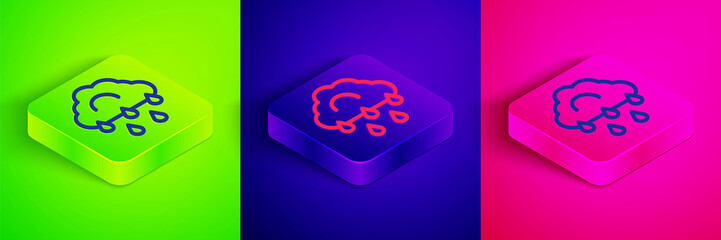 Isometric line Cloud with rain icon isolated on green, blue and pink background. Rain cloud precipitation with rain drops. Square button. Vector