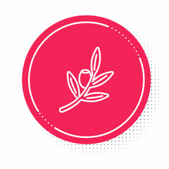 White line Olives branch icon isolated on white background. Red circle button. Vector