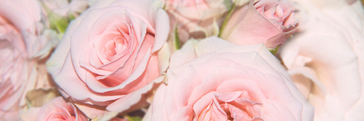Abstract floral background Bouquet of pink roses in pastel colors with a soft style for spring or summer time. Holiday banner background with a space to copy. Wide-angle Web Banner Layout