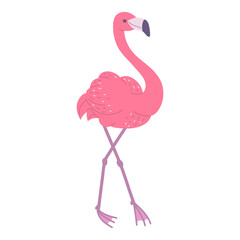pink flamingo. African bird flat decorative illustration.