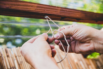Man binding a string, climbing support for plants