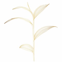 Beautiful exotic golden branch with leaf Silhouette isolate on white background. 