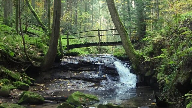 fairy tale enchanted forest waterfall cascade with wooden bridge in germany schw&auml;bischer wald Welzheim Str&uuml;mpfelbachtal