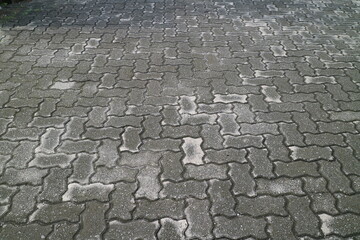 road with brick paving cover