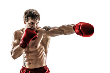 Studio shot of athlete boxer who training, practicing jab on white background in Red gloves  - obrazy, fototapety, plakaty