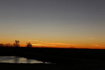 Naklejka premium Lever de soleil - Camargue