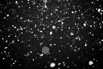 falling snow on a black background. blurred particles