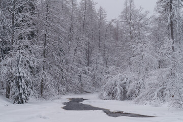 Picturesque winter landscape of running mountain river among snow-white banks of coniferous forest on gloomy cold day in wild nature. Beautiful atmospheric winter background photo