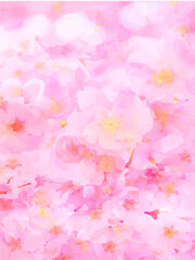 Fototapeta na wymiar 桜の背景