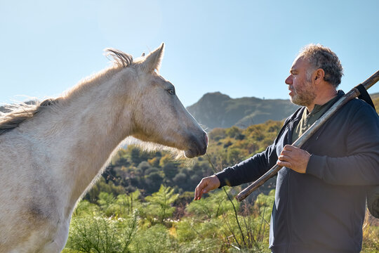Mature bearded man meeting white horse while hiking in rural pasture. Friendship and relationship concept. Well Being and unity with nature. Road to mountain.
