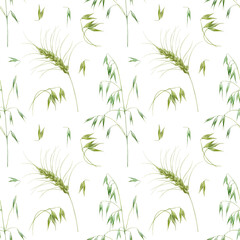 Seamless watercolor pattern with cereals. Wheat and oats are painted in watercolor and collected in a pattern.