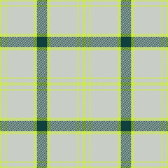 Plaid seamless pattern. Check fabric texture. Vector textile print.