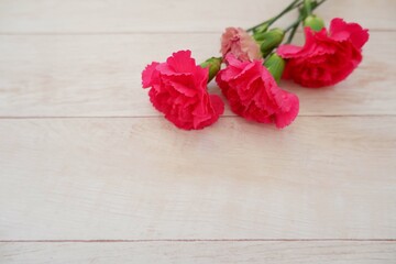 Pink beautiful Carnation flower composition on wooden table. Mother's day, Father's day and spring concept flower background.