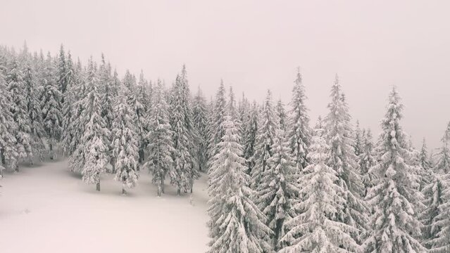 Splendid winter scene from a bird's eye view. Filmed in 4k, drone video.