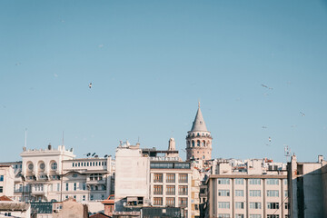 Fototapeta na wymiar View of the Galata Tower area of Istanbul from the opposite side of the golden horn. Beautiful view on a sunny winter day. Seagulls fly over Istanbul with the Galata Tower in the background.