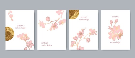 Set of spring backgrouds with sakura branch and golden circle, sun. Cherry blossoms.