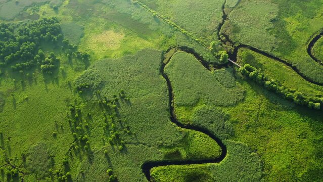 Picturesque winding river in lush wetlands from a bird's eye view. Filmed in 4k, drone video.
