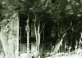 幽霊がいる古い廃墟アパート緑