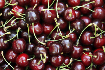 Red ripe fresh cherries. Cherry background. Food background.